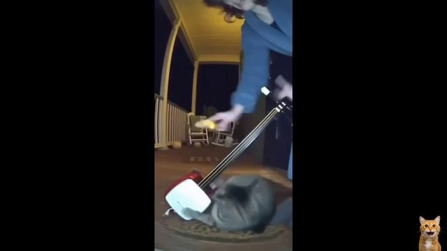 ржака смотреть онлайн