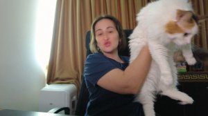 Все не то, все не так