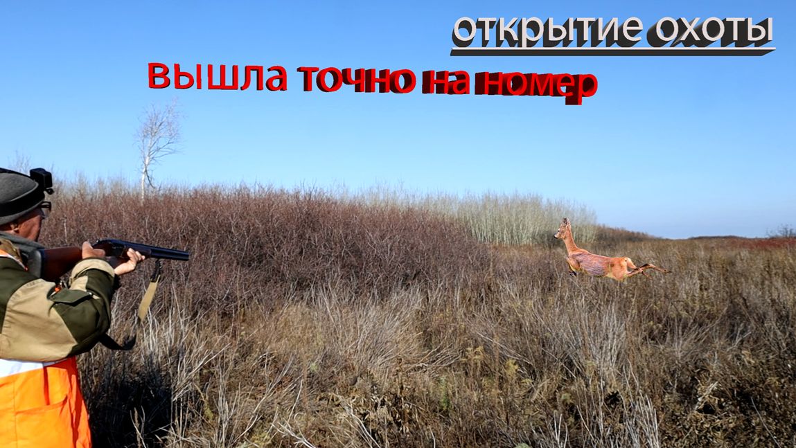 охота на зайца 2025 . косуля вышла на Петровича! смотреть онлайн