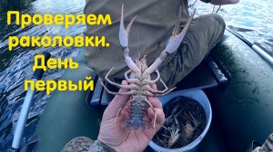 Проверяем раколовки день первый. Отпускаем маленьких раков в соседнее озеро. Как ловить раков