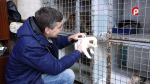 Доброе сердце 14.11.2025 Маша и малыш