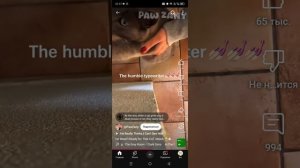 Котики,ох уж эти кошки 🤣🤣🤣🤣