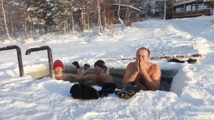 моржи Муравленко