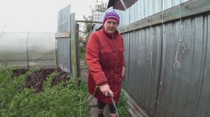 Влог от 19.09.2021