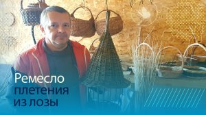 Ремесло плетения из лозы от ростка до корзины