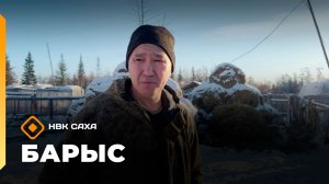 «Барыс»: сэттэ оҕолоох дьиэ кэргэн амарах аҕата Александр Михайлов (14.11.25)