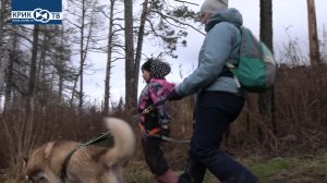 "Клуб охотников и рыболовов" выпуск 221 Дог-трекинг "Легенда Севера" Хаски в походе.