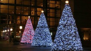 Ель_видеоанимация_Сочи_СССР