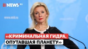 Захарова о скандале с «кошельком» Зеленского