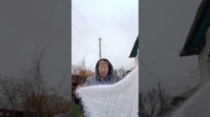 12 ноября 2025 г.Пуховые платки + ...Заказать 89921452392 вотсап