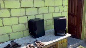 Картошка 2025