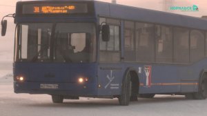 Норильские новости – 14.11.2025