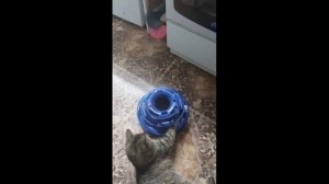 Не хочу играть