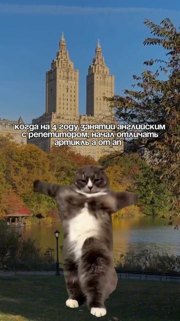 🤔Почему системы репетиторов не работают? смотреть онлайн