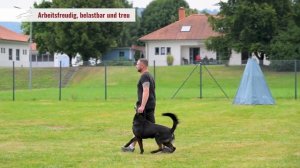 Imagefilm RSV2000 ru