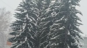 Сказочное Снежное утро / жареный минтай от мужа