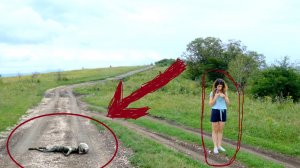 атлас элита спряталась в горах Кавказа, купи в бункеры.