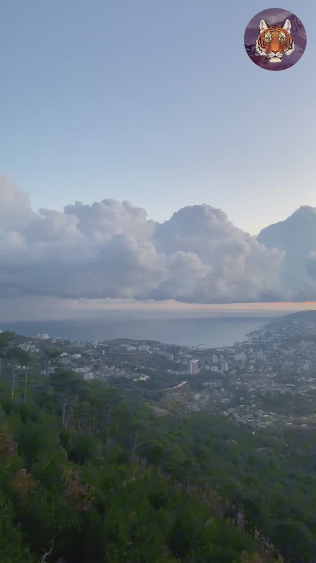 Душевный Вечер В Горах #блогер#ялта#крым#tigrvtanke смотреть онлайн