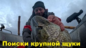 Снова охота за трофеем