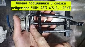 Замена подшипника и смазки редуктора УШМ AEG ws12 125xe
