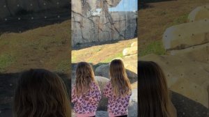 🌟🆕 Моя пятница