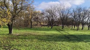 Керчь. Приморский парк сегодня 14.11.25