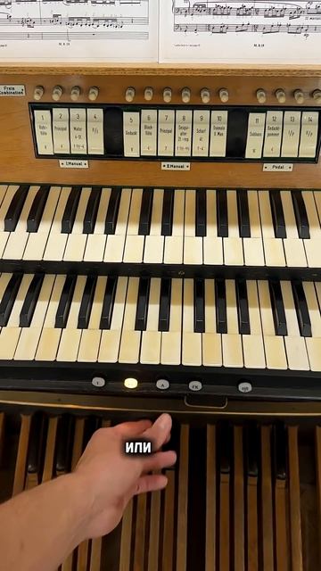 #germanorganist #органымосковскойконсерватории #московскаяконсерватория #мгк #органисты смотреть онлайн