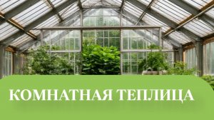 ПОДВЕЛИ ИТОГ 1 ПАРТИИ ОВОЩЕЙ КОТОРЫЕ посадили