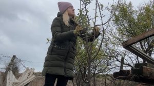 Обрезаем маленькое деревце