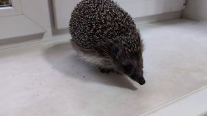 Укладываемся потихоньку)