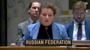 А.М.Евстигнеева на Совете Безопасности ООН о продлении йеменского санкционного режима, 14 ноября