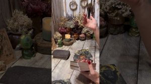 ВОДОЛЕИ ТАРО ПРОГНОЗ НА НОЯБРЬ