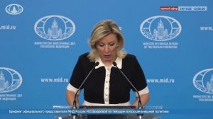 Заявления первого заместителя министра иностранных дел Украины Кислицы, 14 ноября 2025