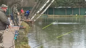 Липки. Короткое видео