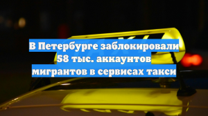 В Петербурге заблокировали 58 тыс. аккаунтов мигрантов в сервисах такси
