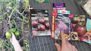 Семена томатов и другие на 2026 год ожидания и реальность урожайного огорода!