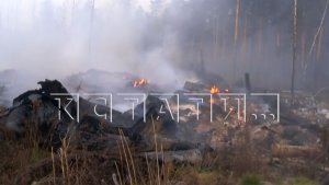 Пожар на нелегальной свалке на Московском шоссе