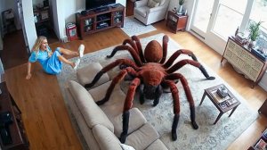 ЗАБАВНЫЕ ПРАНКИ, КОТОРЫЕ ЗАШЛИ СЛИШКОМ ДАЛЕКО