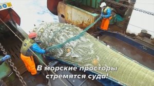 О заключении  контрактов на пребывание в мобилизационном людском резерве - 1