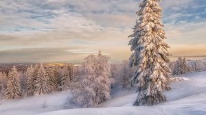 Н.Крыгина - Замело тебя снегом, Россия