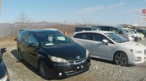 Зеленый угол в ноябре-что есть на авторынке?По какой цене?