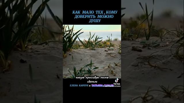 video_9725509506533(0).mp4