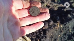 Битых мест не бывает!