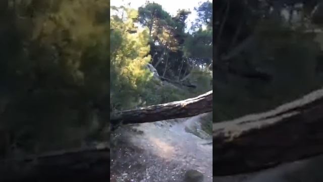 Голубая Бездна эфир из перископа 11.09.2016