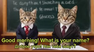 #Учим диалоги на английском языке с помощью милых кошек #кошки #питомцы #английский язык
