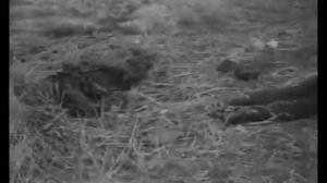 1941 Союзкиножурнал № 92  22 сентября.