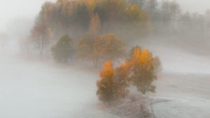 Утренний Туман