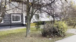 обзорное видео (1)