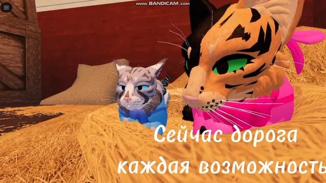 ЙОУ, я не знаю, что это смотреть онлайн