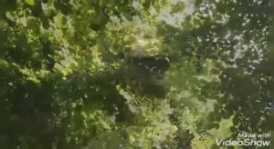 Илгиз Шәкүров - Һыуҙар булып аға